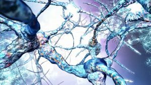 UCT Silane cited in Biomaterials Paper