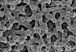 UCT Specialty Chemical cited in Monolithic Chromatography Study