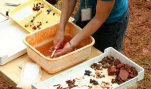 UCT MSTFA Derivatizing Reagent Cited in Archaeological Study