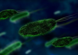 UCT Silane (TSPS) cited in Microbiology Article