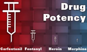 UCT Flagship Sorbent Clean Screen® DAU cited in new Fentanyl/Opioids Analogs Paper