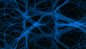 UCT Silane used in Cellular Modeling