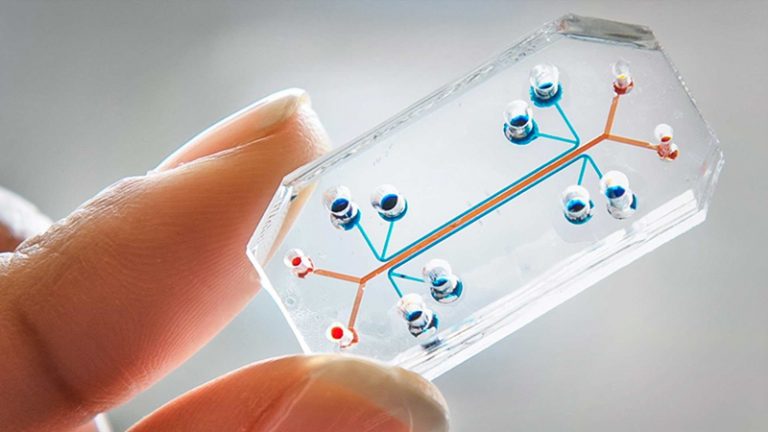 UCT Silane Cited in Organ-On-Chip Article