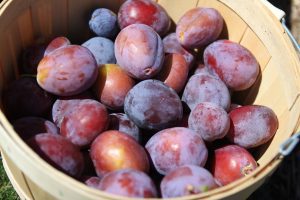 UCT QuEChERS Cited in Agro-Industry Article