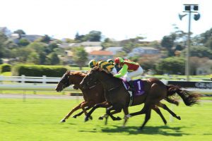 DAU Sorbent cited in Equine Toxicology Study