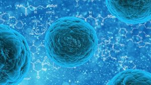 UCT Silane Cited in Cellular Research Article