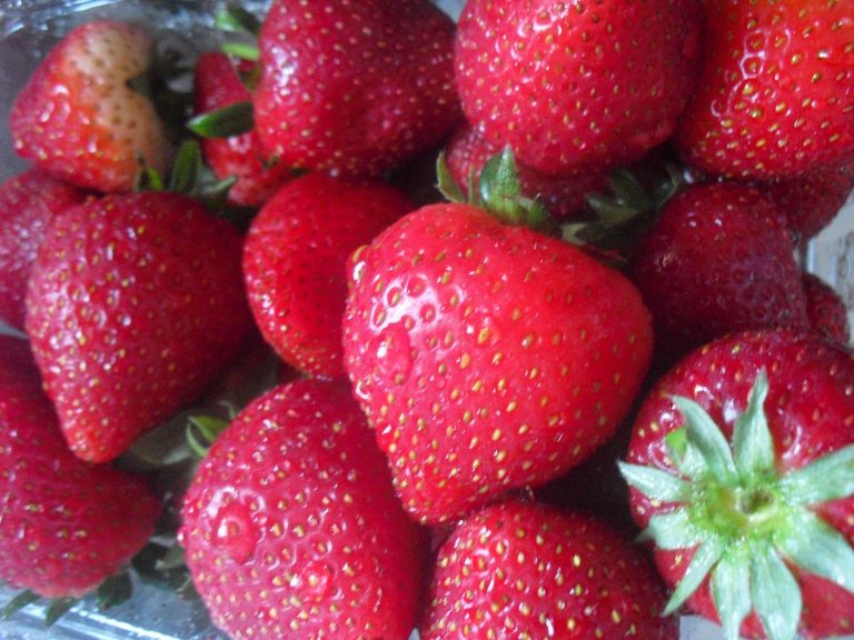 Strawberries remain at top of pesticide list, report says.
