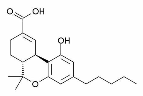 Carboxy-THC In Urine For GC/MS Confirmations Using: 30 mg Styre Screen® DBX Extraction Column