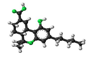 Extraction of THC-COOH In Hair