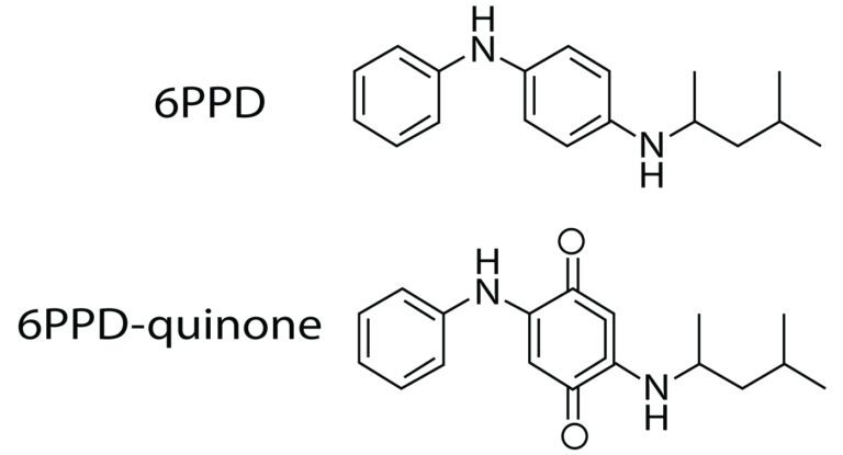 Draft Method 1634: Determination of 6PPD-Quinone in Aqueous Matrices Using Solid Phase Extraction & Liquid Chromatography with Tandem Mass Spectrometry (LC/MS/MS)